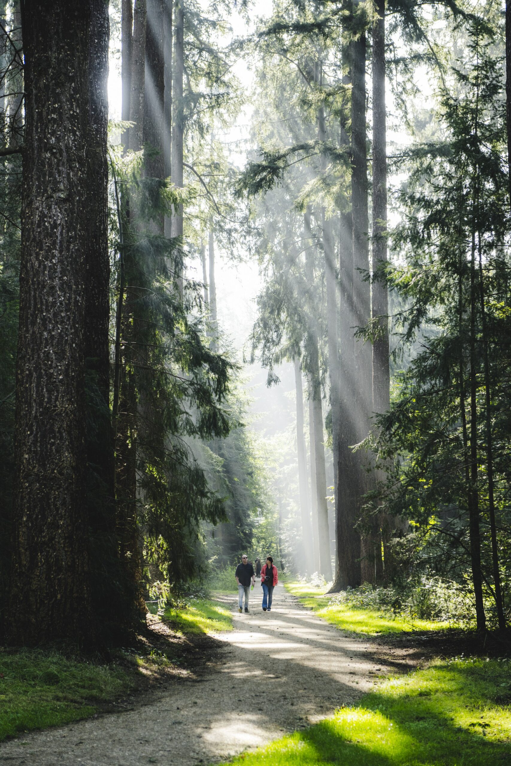 Wandelen in het paleispark in Apeldoorn Het Loo