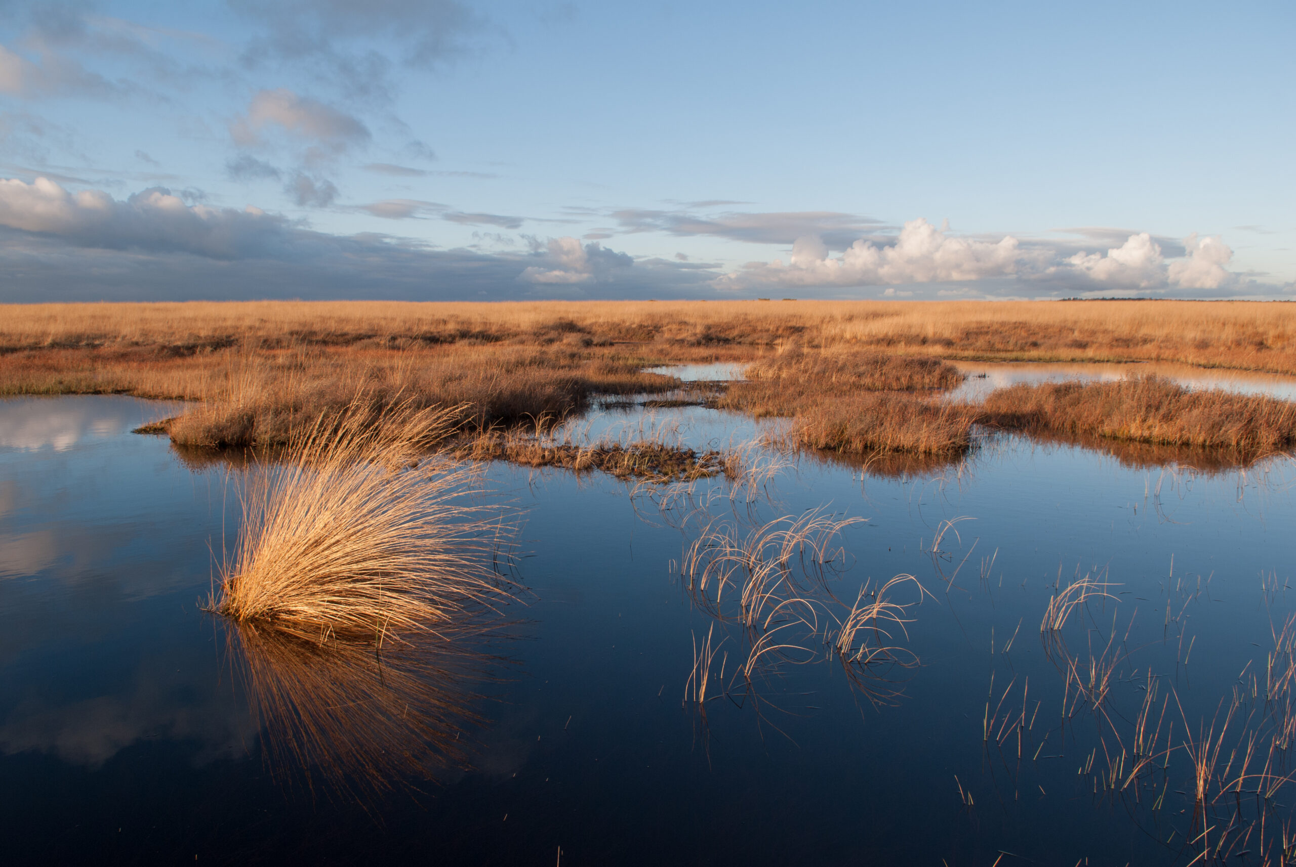 Het Nationale Park De Hoge Veluwe