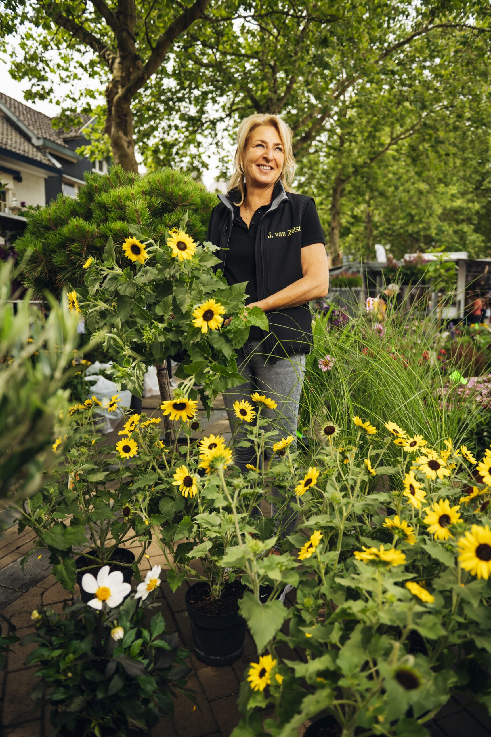 Warenmarkt op het Marktplein in Apeldoorn