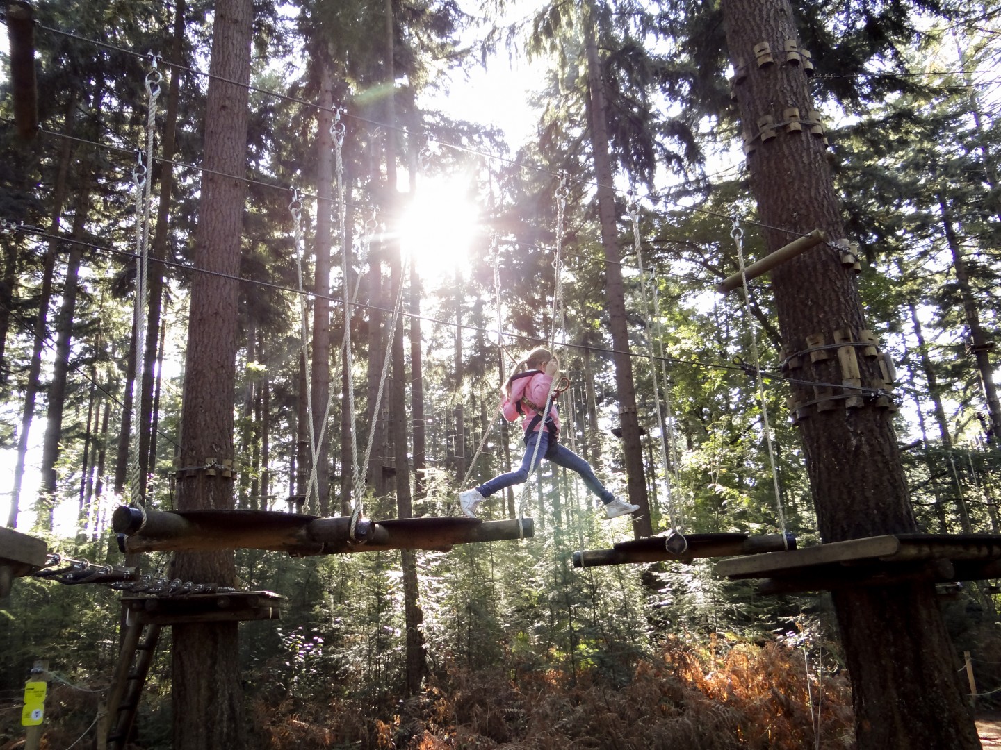 Klimbos in Apeldoorn