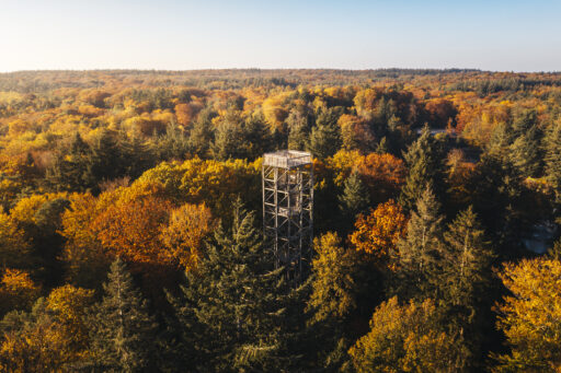 Uitkijktoren in Berg & Bos in de herfst