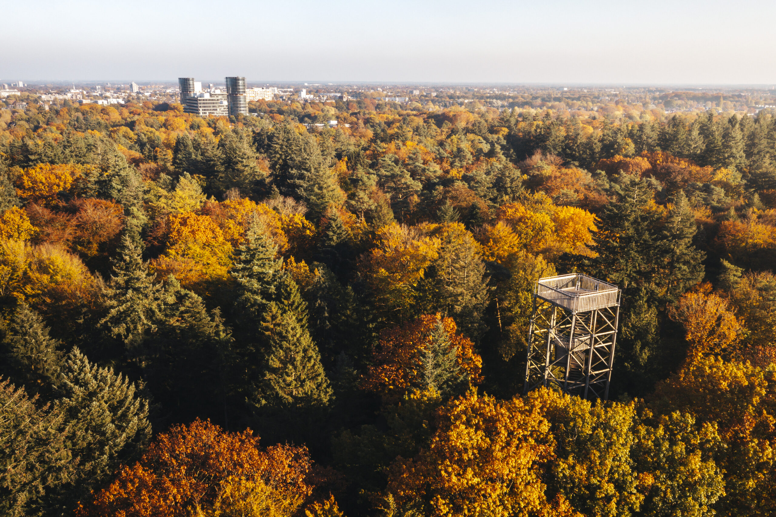 Uitkijktoren in Berg & Bos in de herfst