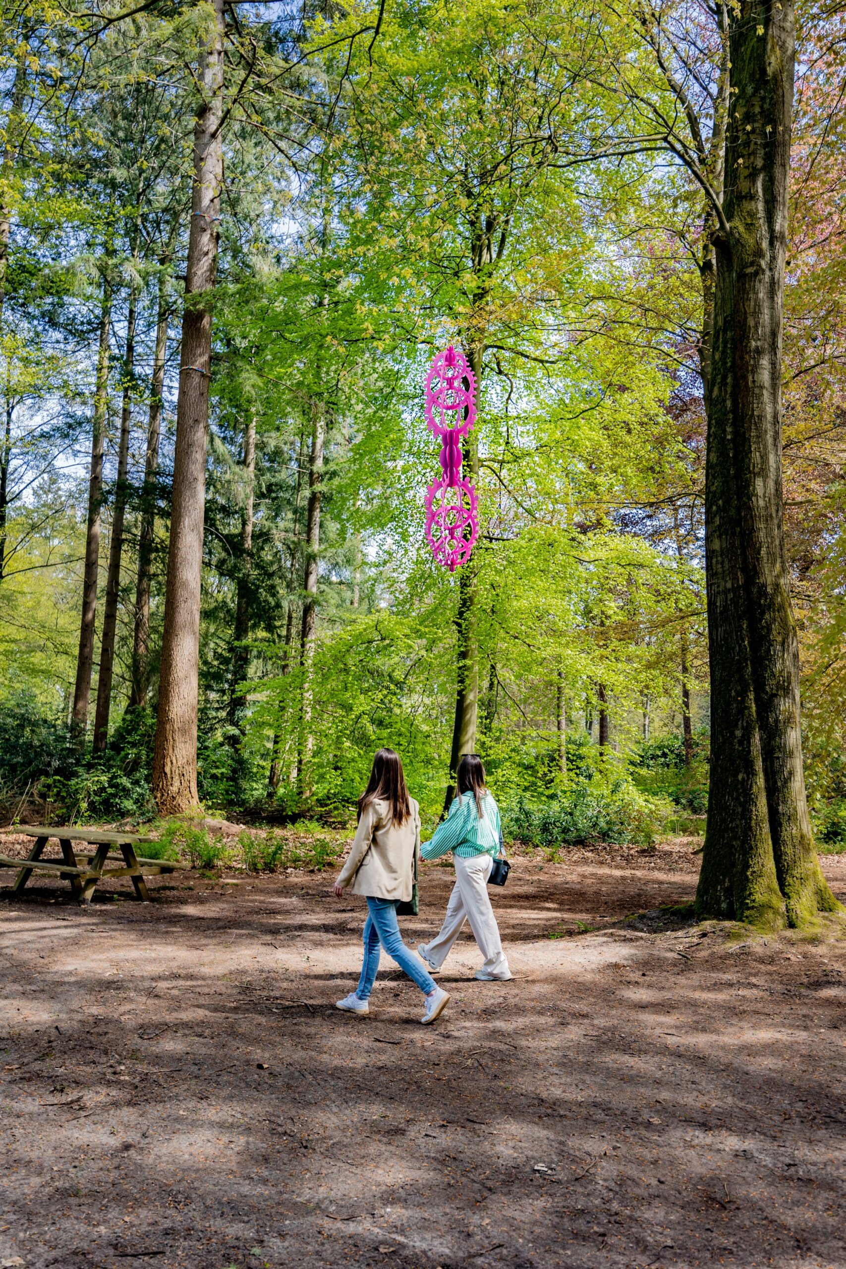 Ontdek de boomkroonjuwelen in Stadspark Berg&Bos in Apeldoorn