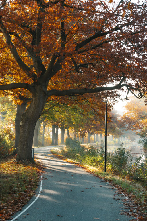 Het Apeldoornse kanaal in de herfst
