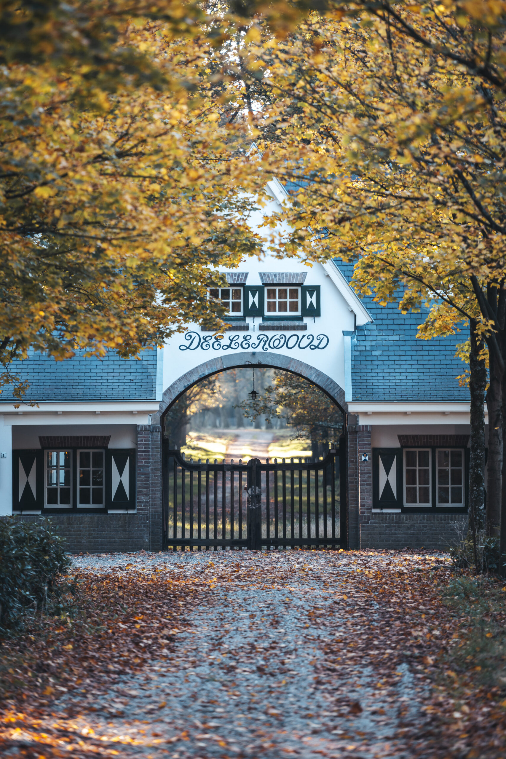 Deelerwoud in de herfst